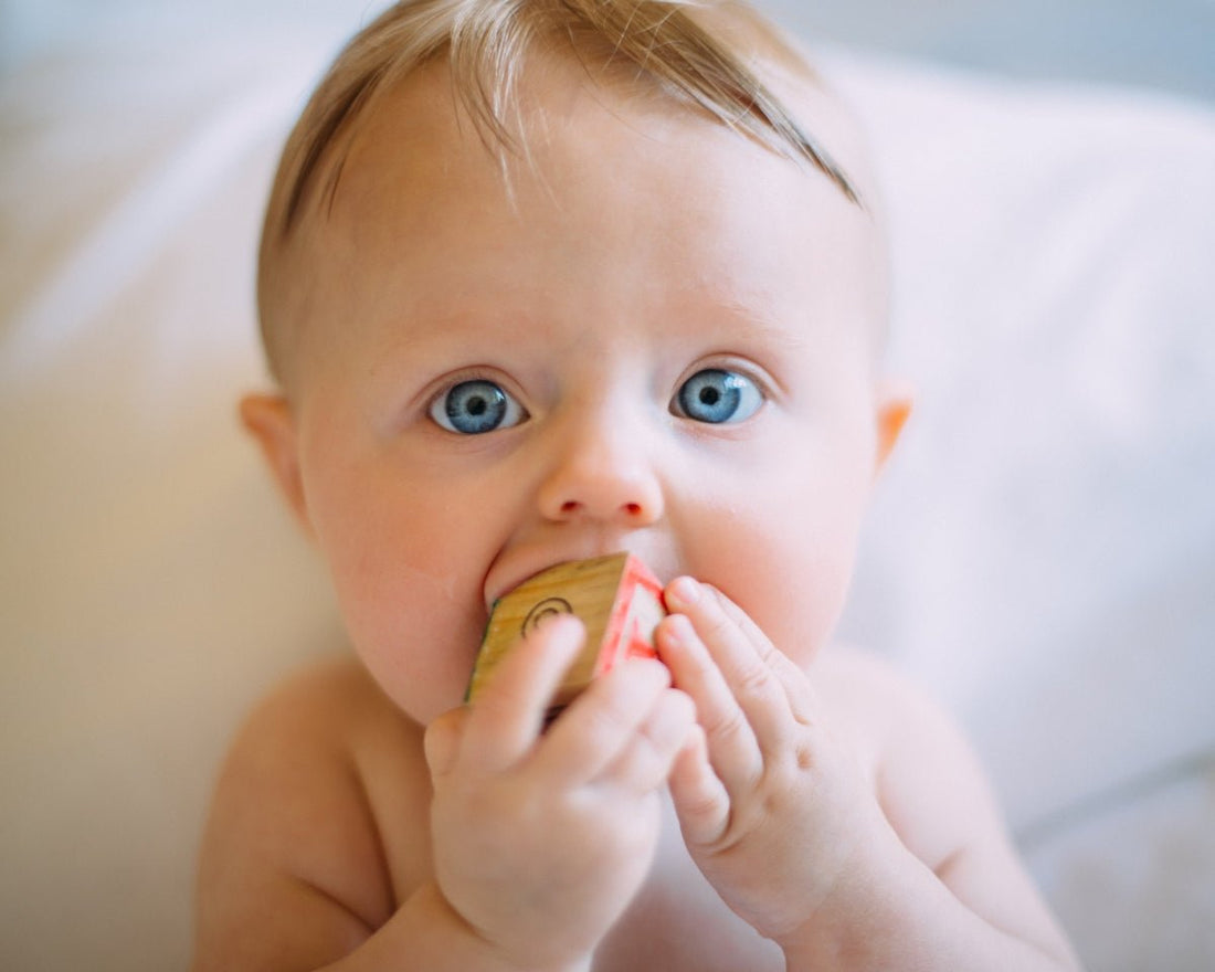 Demystifying Toddler Speech Development - Kenner House Emporium