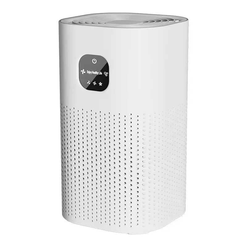 Negative Ion Air Purifier with Replacement Filter