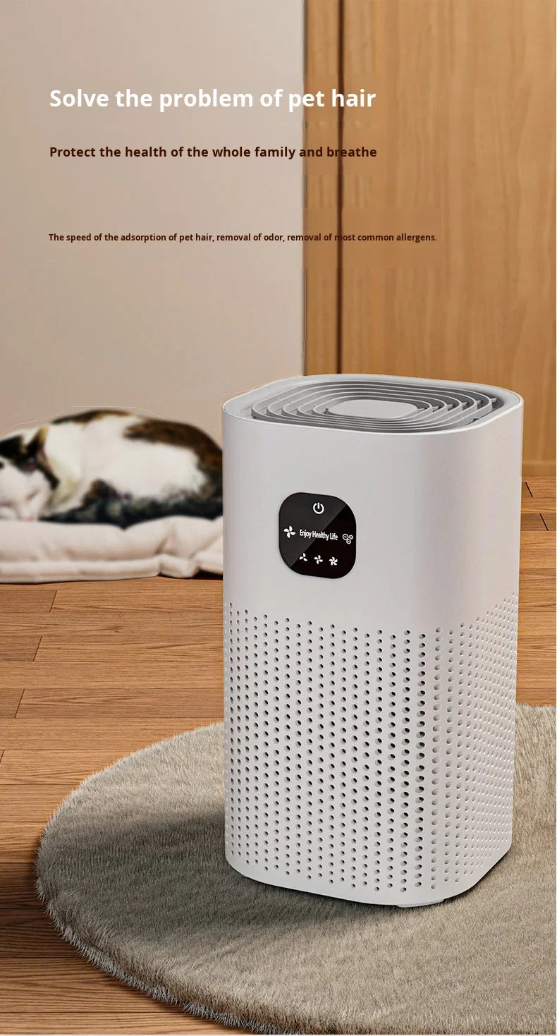 Negative Ion Air Purifier with Replacement Filter