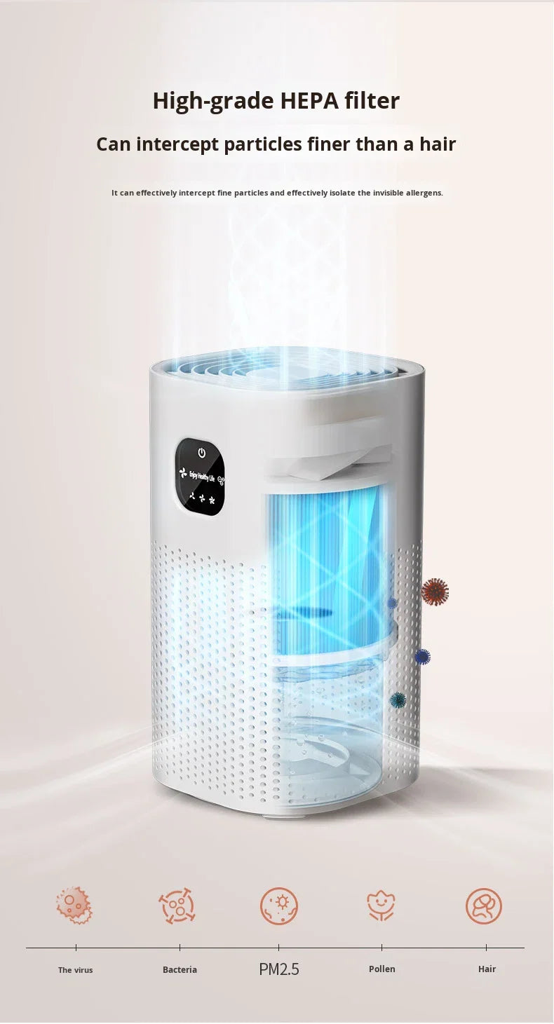 Negative Ion Air Purifier with Replacement Filter