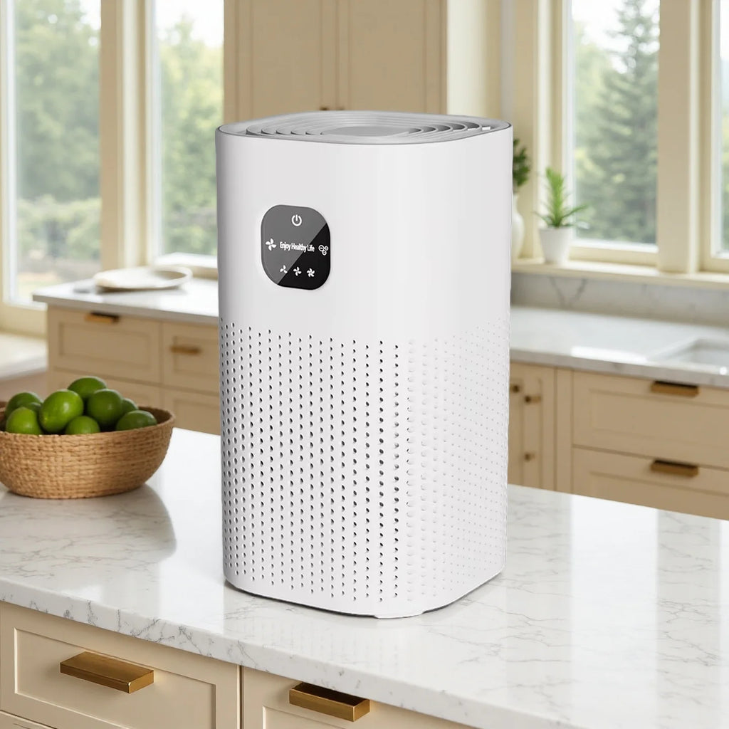 Negative Ion Air Purifier with Replacement Filter