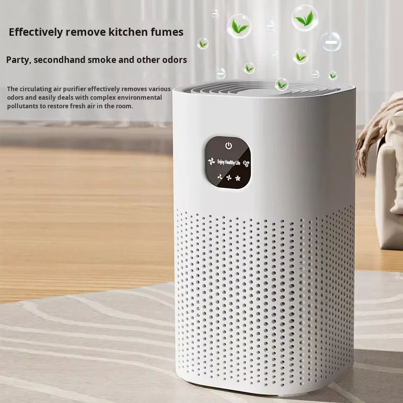 Negative Ion Air Purifier with Replacement Filter