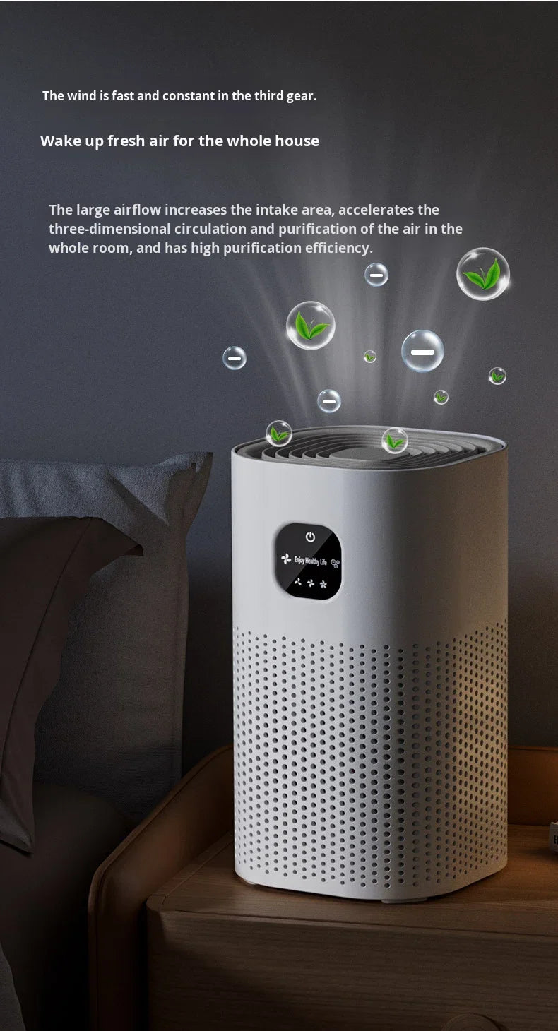 Negative Ion Air Purifier with Replacement Filter