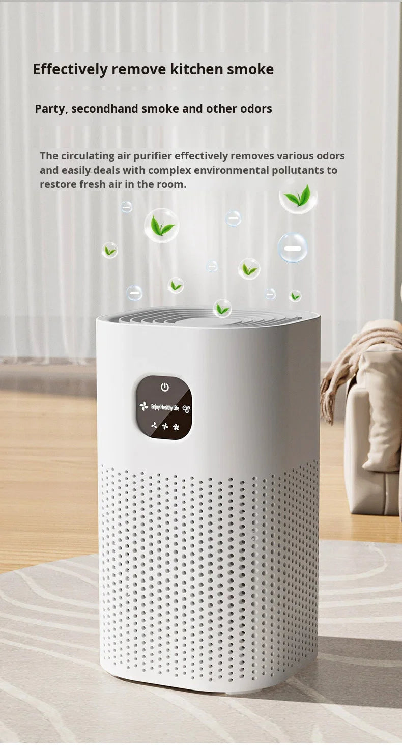 Negative Ion Air Purifier with Replacement Filter