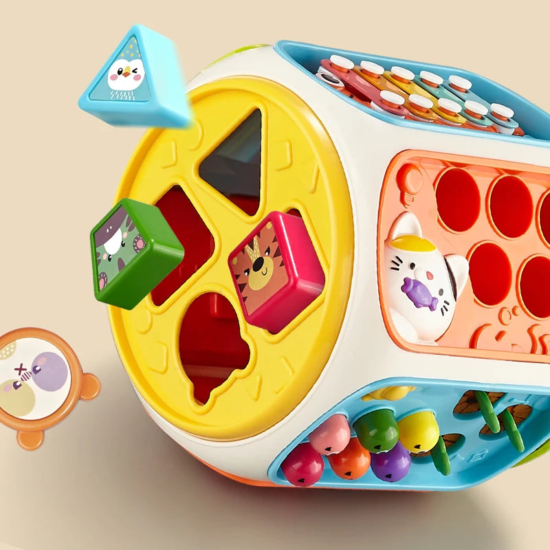 Montessori Color Sorting & Shape Learning Game | Cognitive Development Toy for Kids 3+