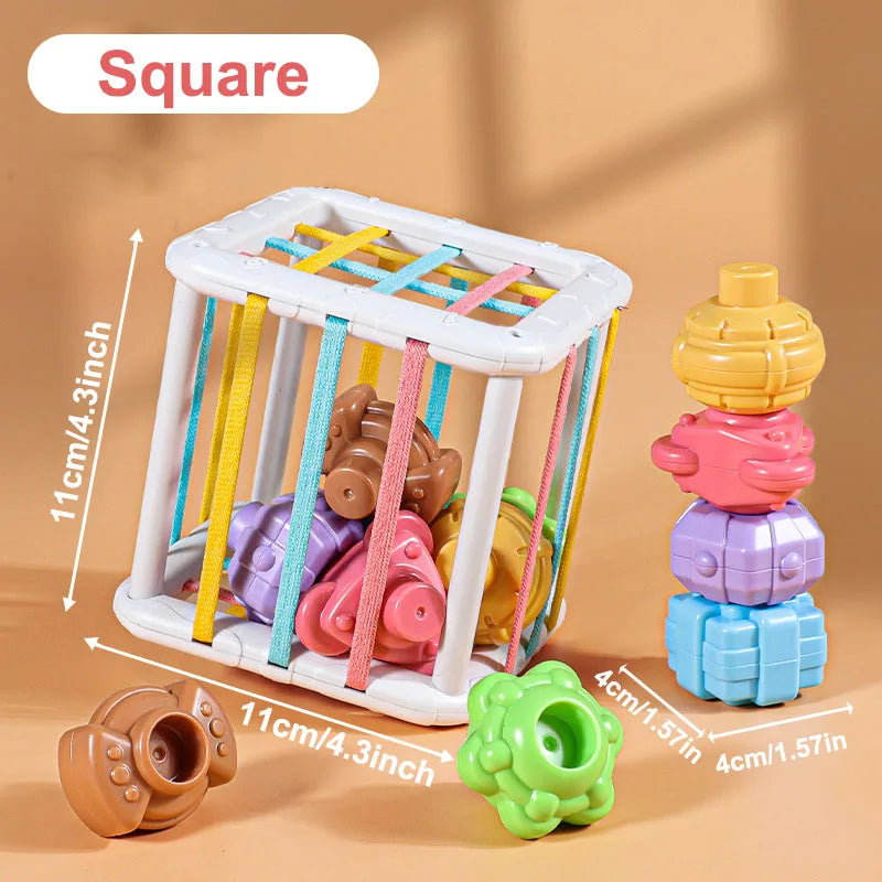 Montessori Baby Toys 18 Months+ | Colorful Sorting Blocks Sensory Learning Game