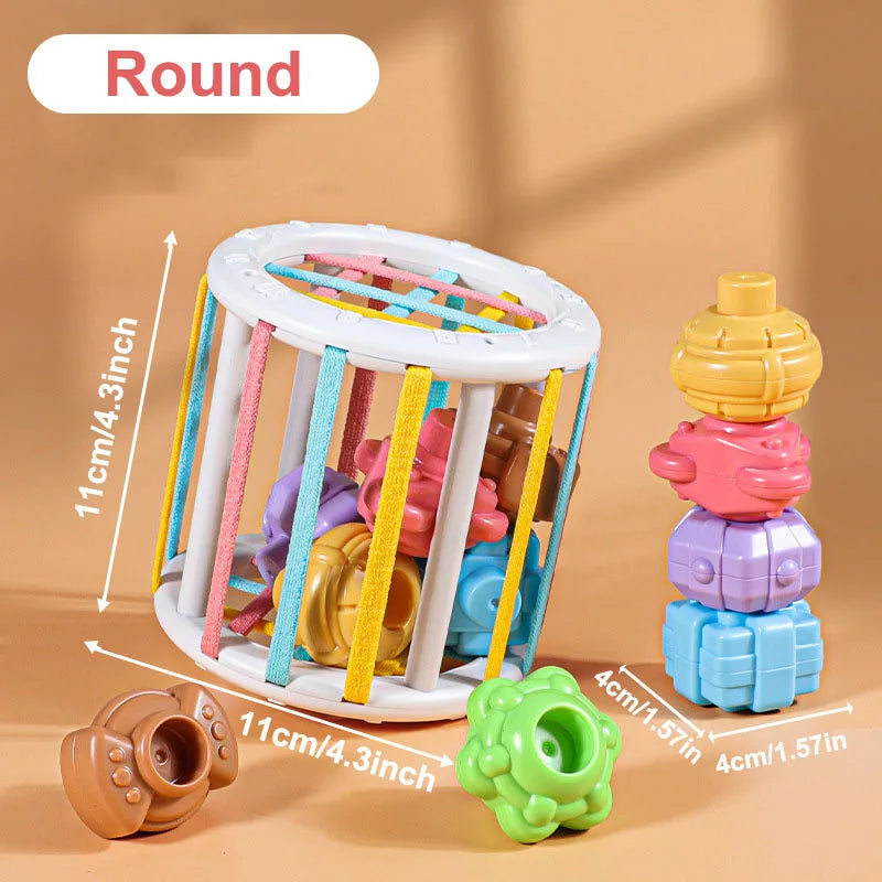 Montessori Baby Toys 18 Months+ | Colorful Sorting Blocks Sensory Learning Game
