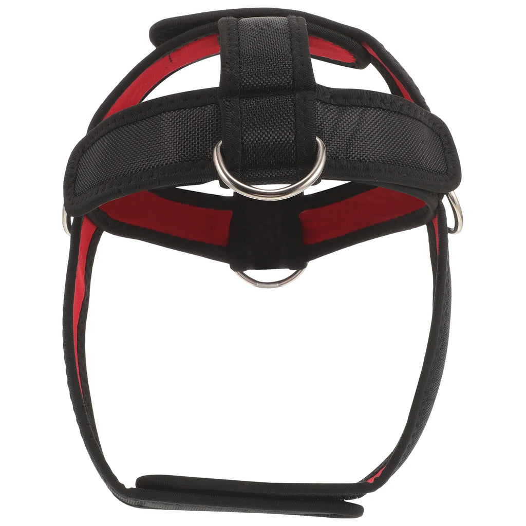 Head and Neck Trainer Training Device Strap Workout Fitness Harnesd Harness for Strength Belt