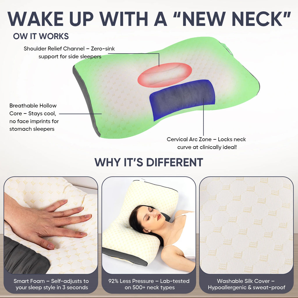 2-Pack Ergonomic Contour Neck Pillows | Bamboo Fiber Fill | All-Season Comfort | 7 Colors