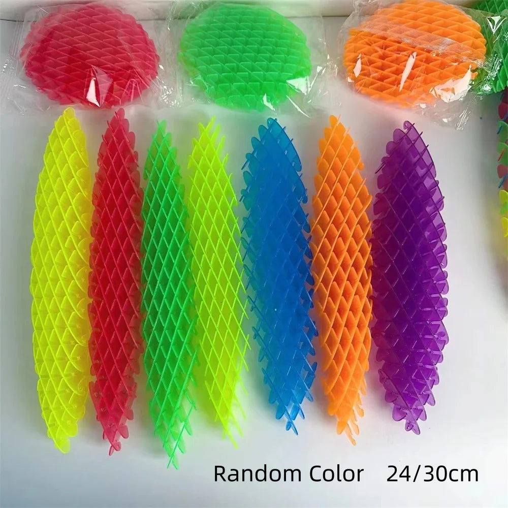 Fidget Worm Toy Elastic Slug Sensory Toy for Kids & Adults Funny Pocket Fidget Toys Stress Relief Birthday Classroom Gift