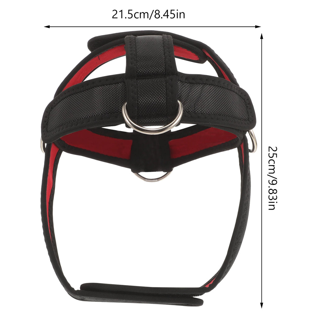 Head and Neck Trainer Training Device Strap Workout Fitness Harnesd Harness for Strength Belt