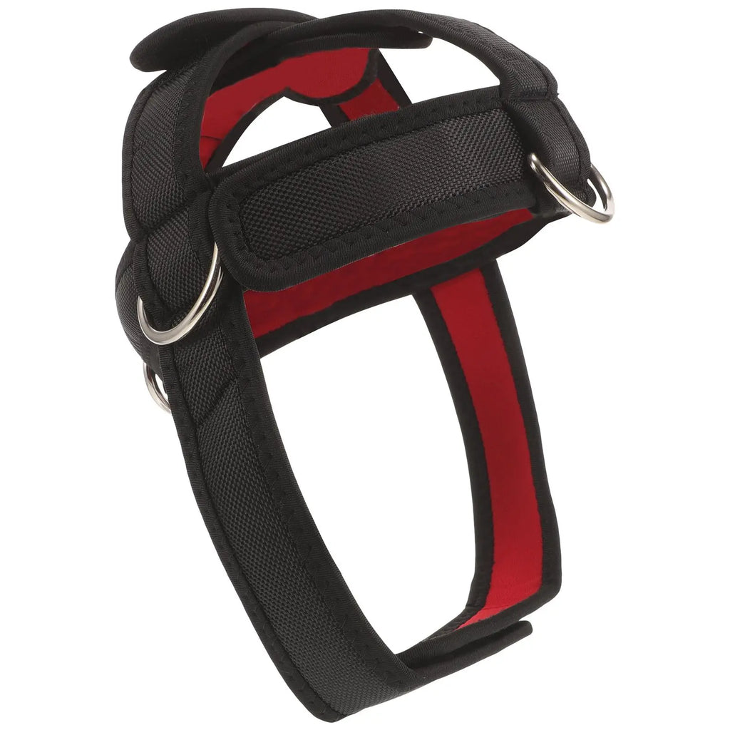 Head and Neck Trainer Training Device Strap Workout Fitness Harnesd Harness for Strength Belt