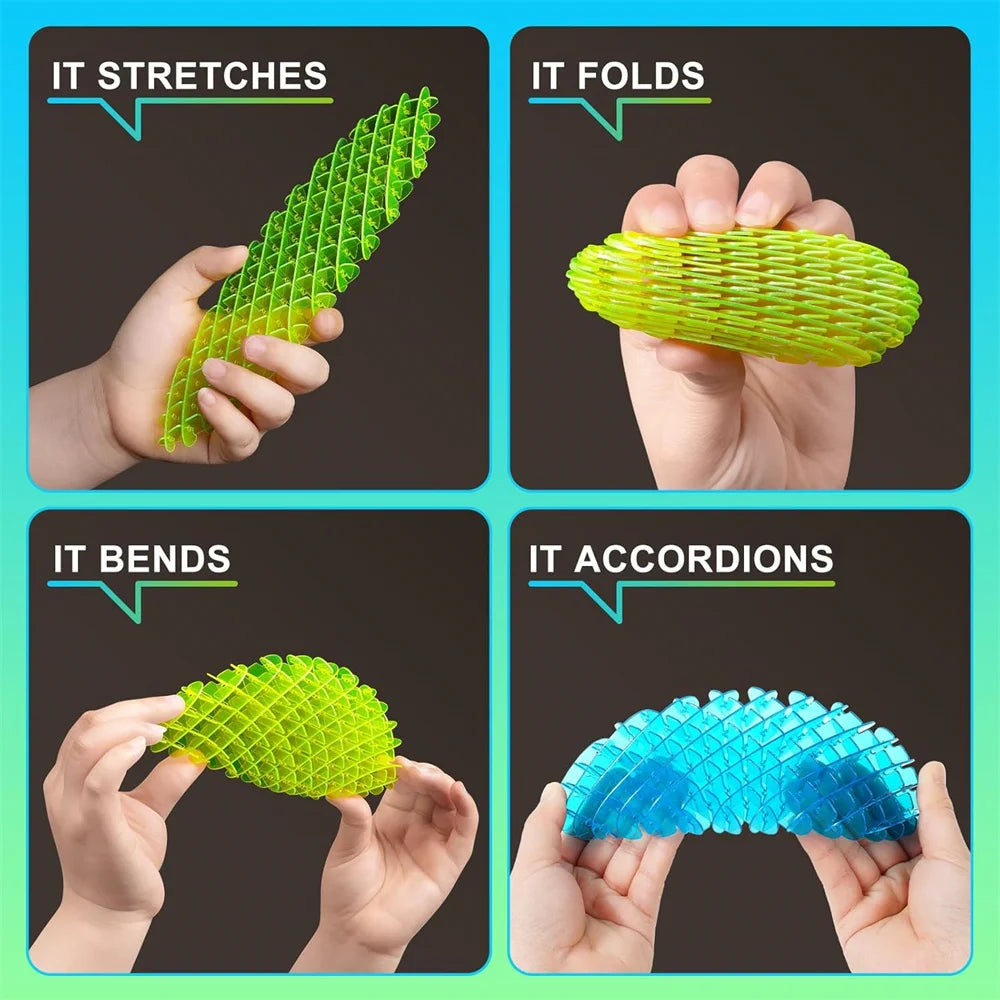Fidget Worm Toy Elastic Slug Sensory Toy for Kids & Adults Funny Pocket Fidget Toys Stress Relief Birthday Classroom Gift