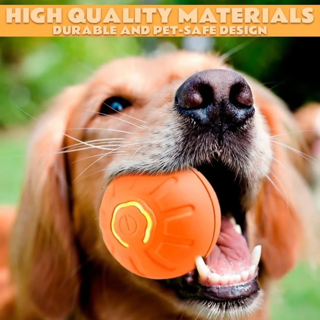 Pet toys Gravity Electric Amusement Pet Ball Smart Bouncing Ball For Dogs and Cats - Kenner House Emporium