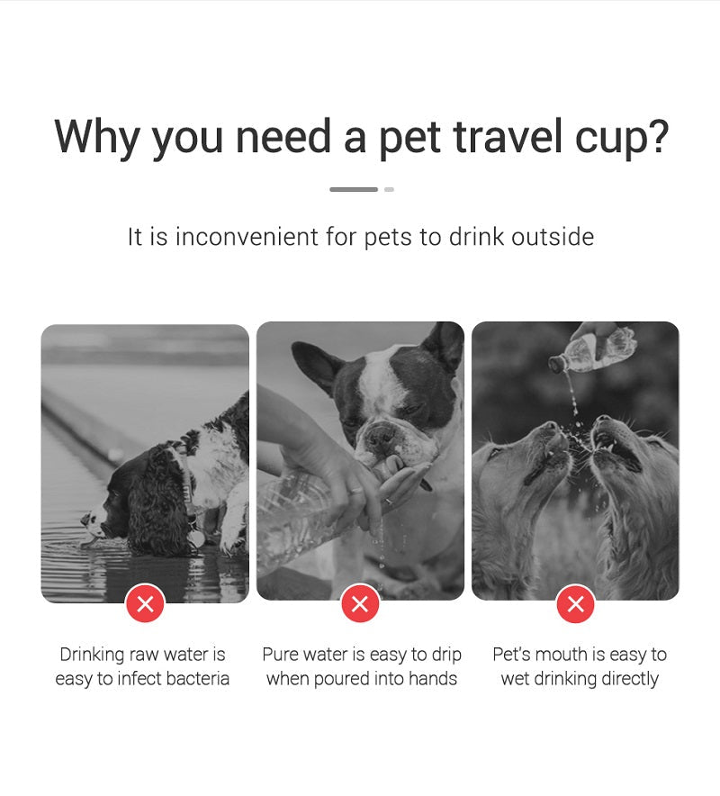 Portable Dog Water Bottle For Small Large Dogs Cat Outdoor Leakproof Walking Drinking Bowls Chihuahua French Bulldog Supplies - Kenner House Emporium