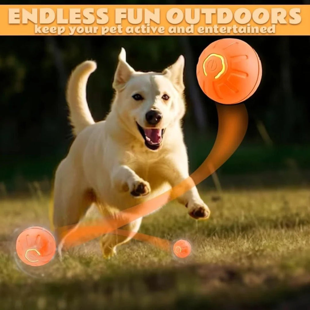 Pet toys Gravity Electric Amusement Pet Ball Smart Bouncing Ball For Dogs and Cats - Kenner House Emporium