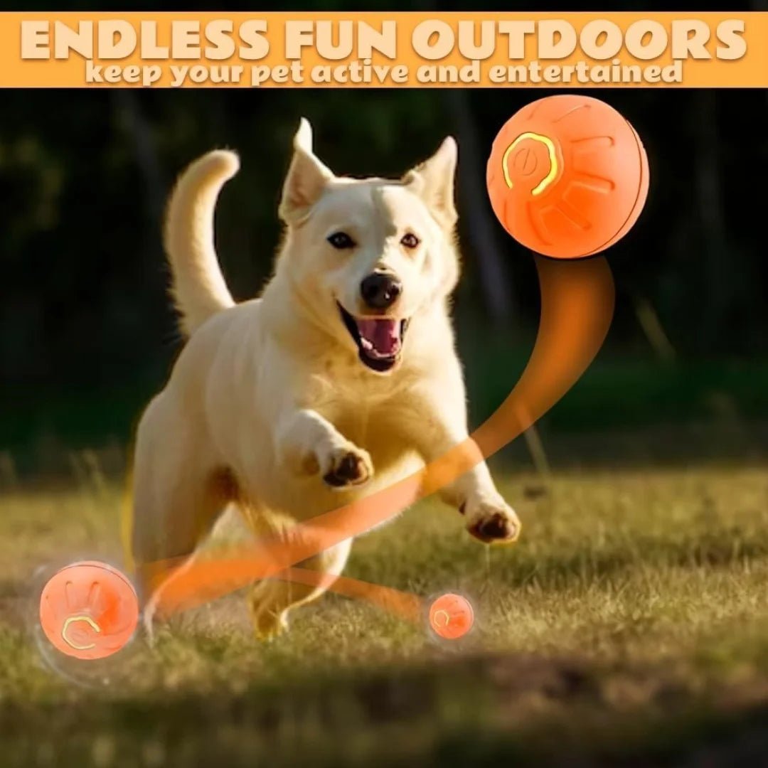Pet toys Gravity Electric Amusement Pet Ball Smart Bouncing Ball For Dogs and Cats - Kenner House Emporium