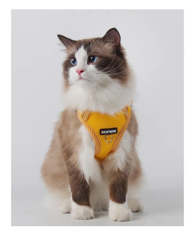 Cat Harness Dog Leash Breathable Mesh Spring Summer Pet Supplies Reflective Outdoor Walk Soft Cat Comfortable Puppy Harness - Kenner House Emporium