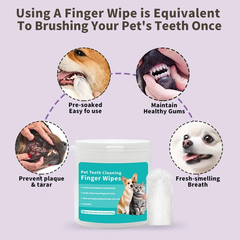 Pet cleaning products Disposable finger toothbrush Pet teeth cleaning finger covers wet wipes Dog and cat oral cleaning - Kenner House Emporium