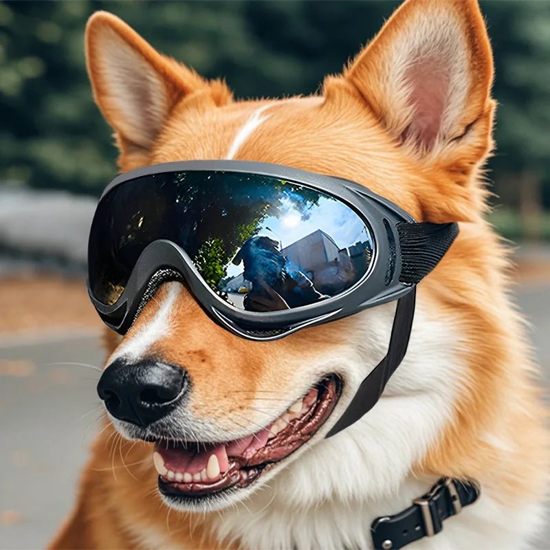 Pet Adjustable Dog Goggles Sunglasses Anti - UV Sun Glasses Eye Wear Protection Black Widely Used Dog Sunglasses Pet Dog Supplies - Kenner House Emporium