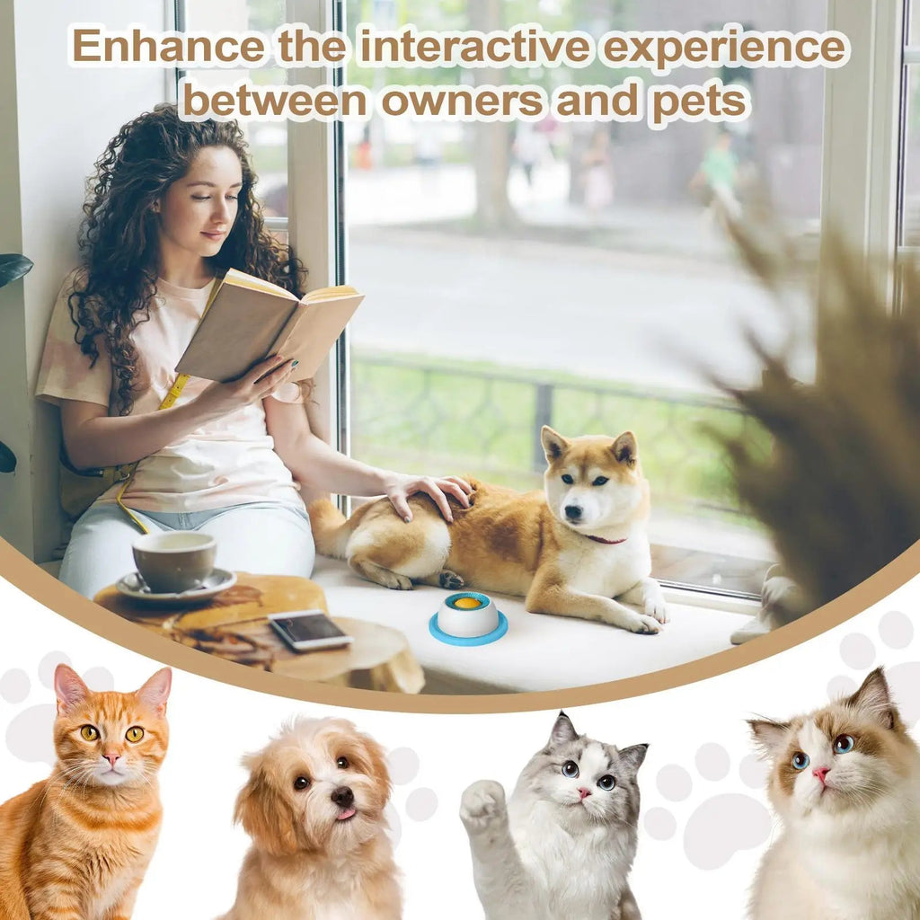 Pet Feeding Accessories Dog Treat Toy Puzzle Toys For Bored Puppy Slow Feeder Puppy Supplies For Healthy Eating Food Crate - Kenner House Emporium