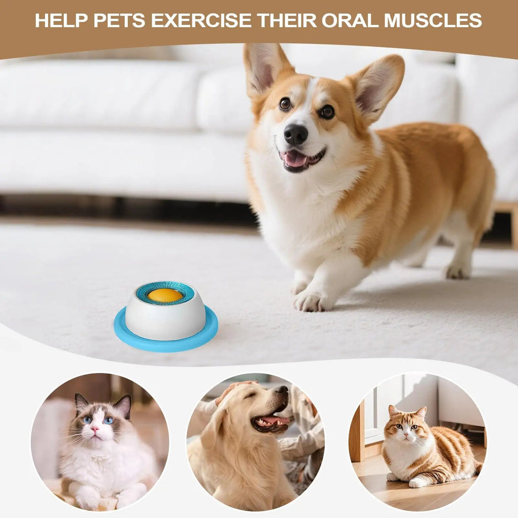 Pet Feeding Accessories Dog Treat Toy Puzzle Toys For Bored Puppy Slow Feeder Puppy Supplies For Healthy Eating Food Crate - Kenner House Emporium