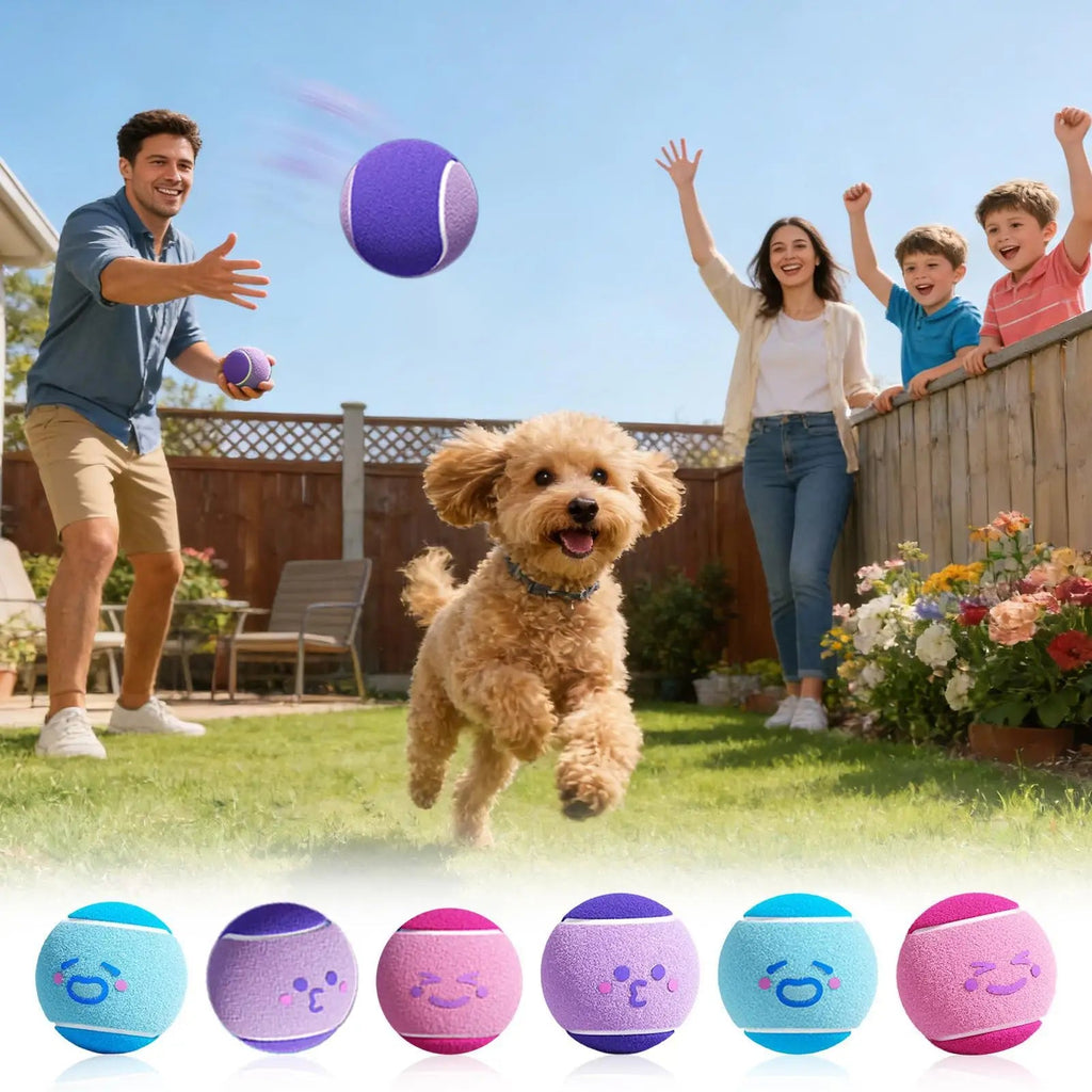 6pcs Pet Dog Tennis Balls, Interactive Toys For Dogs, Chew - resistant Durable Rubber Tennis Balls, Puppy Indoor Outdoor play Toys - Kenner House Emporium