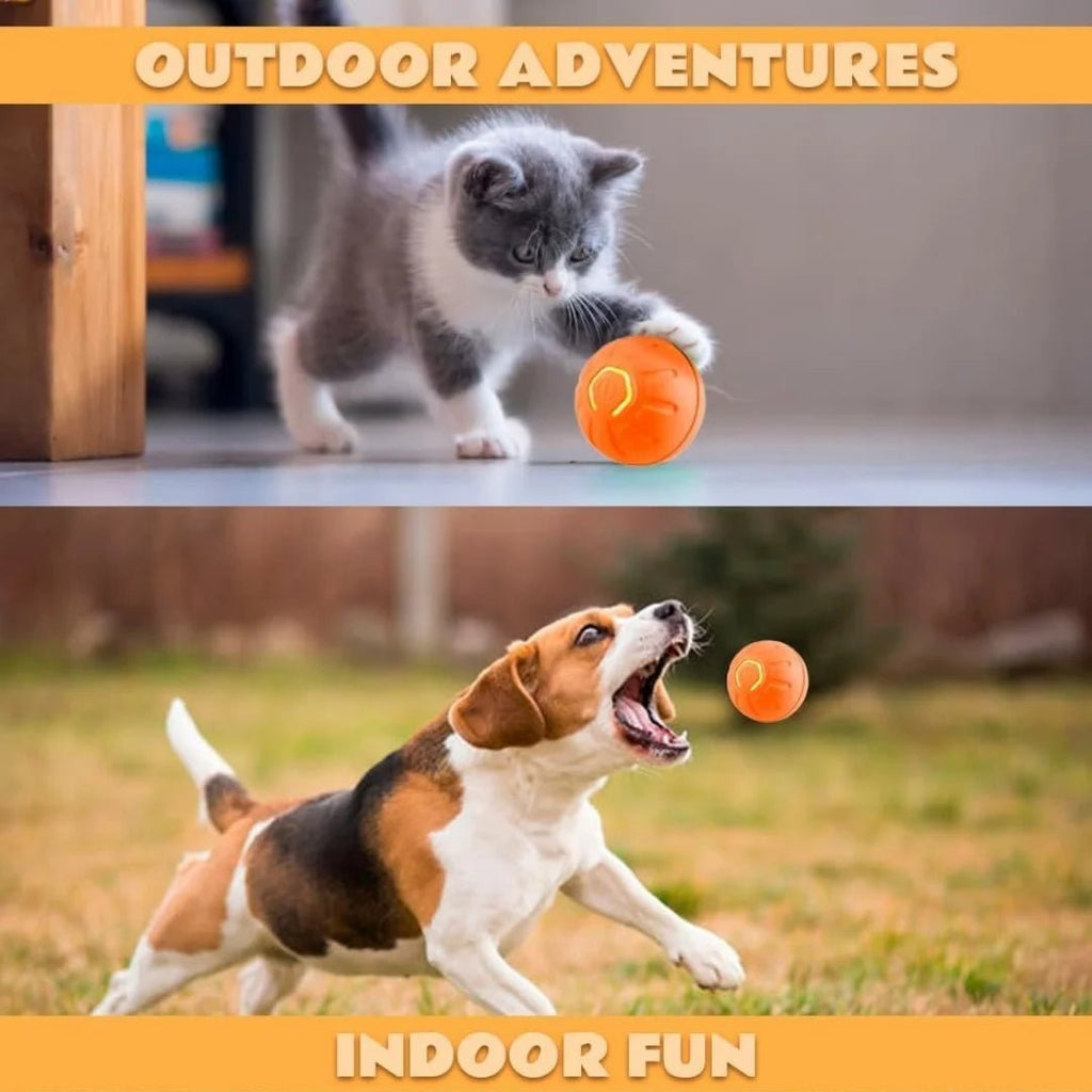Pet toys Gravity Electric Amusement Pet Ball Smart Bouncing Ball For Dogs and Cats - Kenner House Emporium