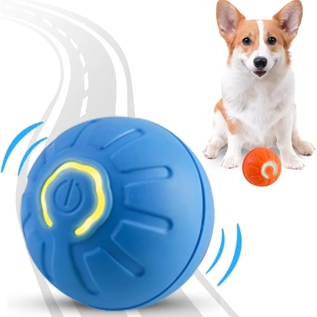 Pet toys Gravity Electric Amusement Pet Ball Smart Bouncing Ball For Dogs and Cats - Kenner House Emporium