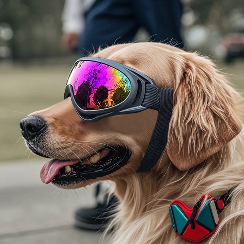 Pet Adjustable Dog Goggles Sunglasses Anti - UV Sun Glasses Eye Wear Protection Black Widely Used Dog Sunglasses Pet Dog Supplies - Kenner House Emporium