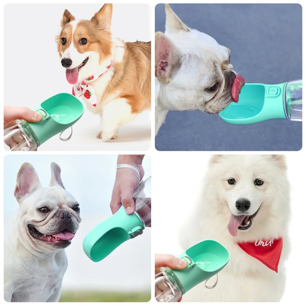 Portable Dog Water Bottle For Small Large Dogs Cat Outdoor Leakproof Walking Drinking Bowls Chihuahua French Bulldog Supplies - Kenner House Emporium