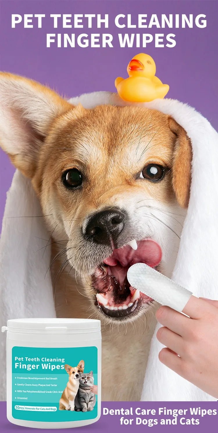 Pet cleaning products Disposable finger toothbrush Pet teeth cleaning finger covers wet wipes Dog and cat oral cleaning - Kenner House Emporium