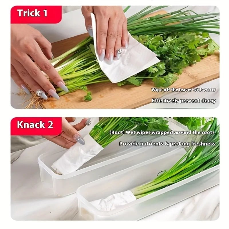 Refrigerator fresh - keeping storage box, fresh - keeping artifact,Small Food Preservation Boxes,Transparent Sealed Storage Box - Kenner House Emporium