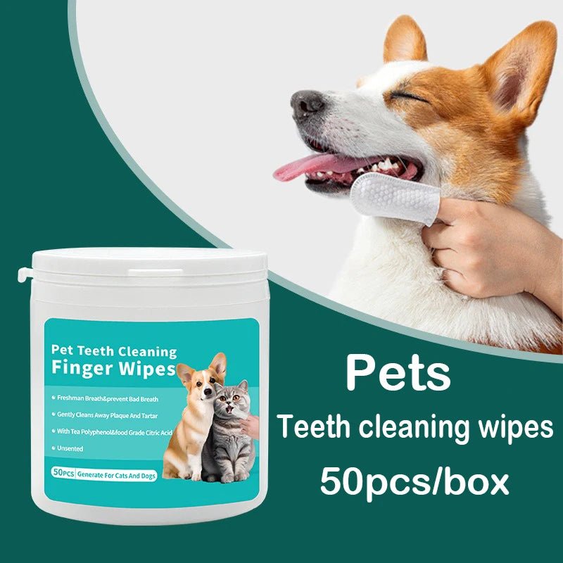 Pet cleaning products Disposable finger toothbrush Pet teeth cleaning finger covers wet wipes Dog and cat oral cleaning - Kenner House Emporium