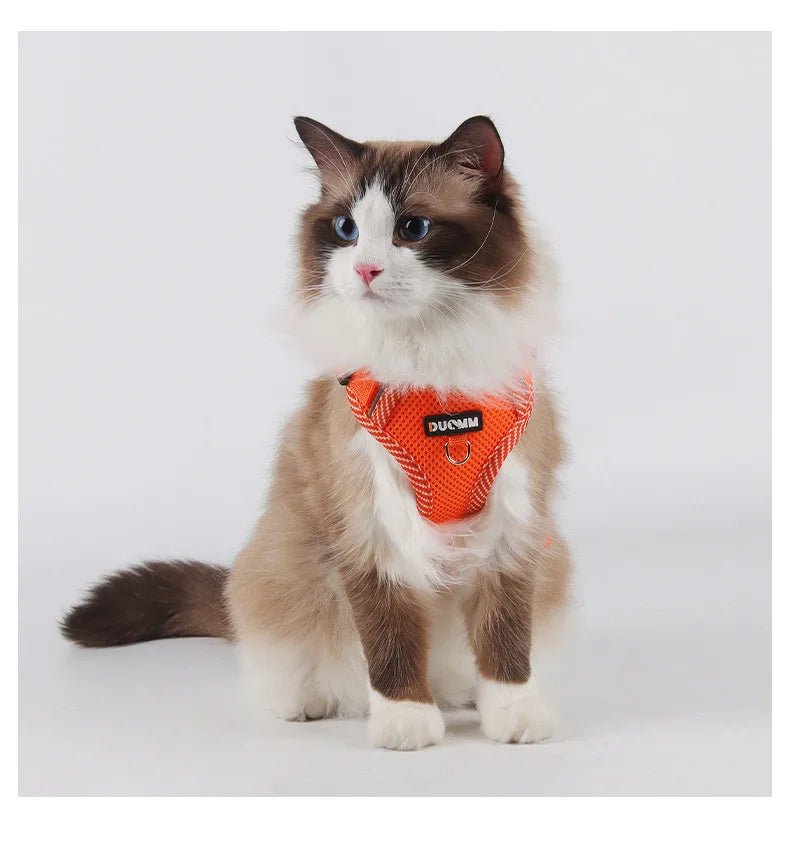 Cat Harness Dog Leash Breathable Mesh Spring Summer Pet Supplies Reflective Outdoor Walk Soft Cat Comfortable Puppy Harness - Kenner House Emporium