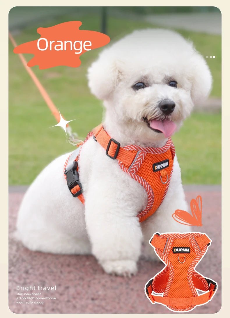 Cat Harness Dog Leash Breathable Mesh Spring Summer Pet Supplies Reflective Outdoor Walk Soft Cat Comfortable Puppy Harness - Kenner House Emporium