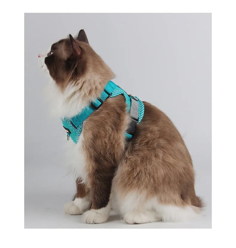 Cat Harness Dog Leash Breathable Mesh Spring Summer Pet Supplies Reflective Outdoor Walk Soft Cat Comfortable Puppy Harness - Kenner House Emporium
