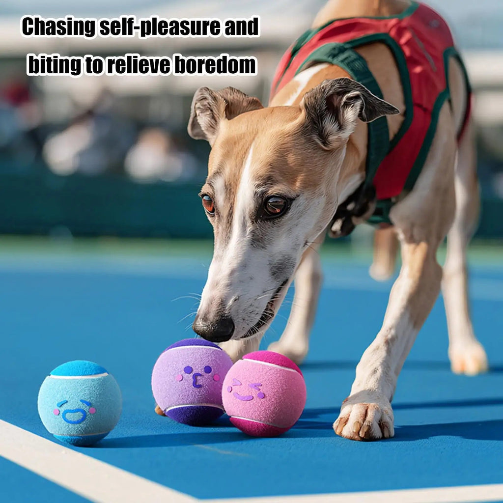 6pcs Pet Dog Tennis Balls, Interactive Toys For Dogs, Chew - resistant Durable Rubber Tennis Balls, Puppy Indoor Outdoor play Toys - Kenner House Emporium