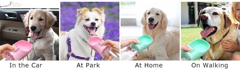 Portable Dog Water Bottle For Small Large Dogs Cat Outdoor Leakproof Walking Drinking Bowls Chihuahua French Bulldog Supplies - Kenner House Emporium