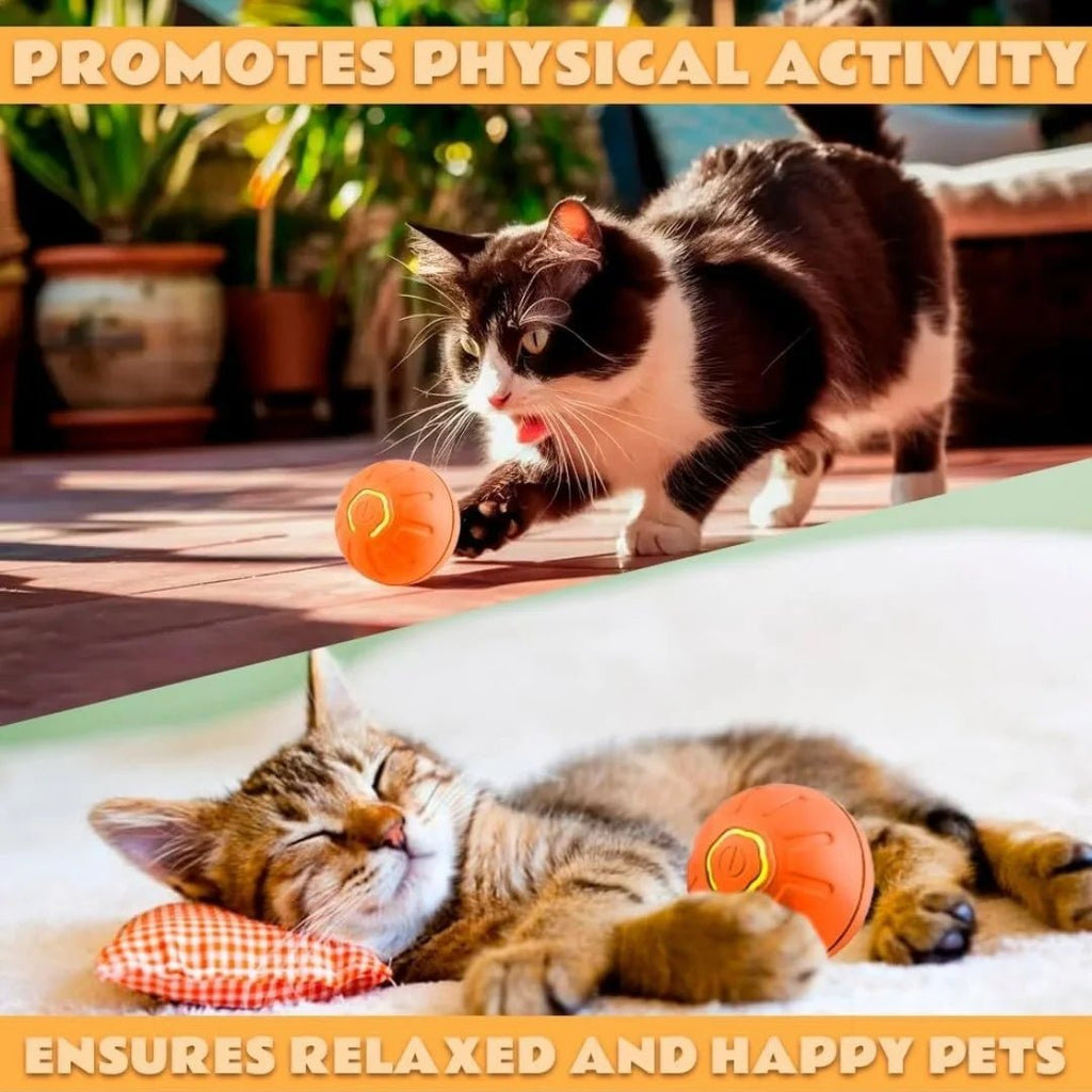 Pet toys Gravity Electric Amusement Pet Ball Smart Bouncing Ball For Dogs and Cats - Kenner House Emporium