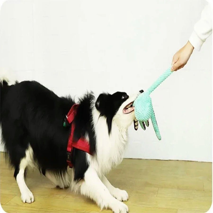 Pet plush octopus toy interactive sound anti - demolition home large and small dog boredom companion dog toy - Kenner House Emporium