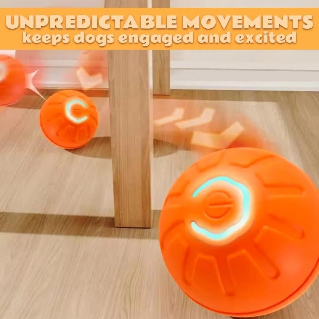 Pet toys Gravity Electric Amusement Pet Ball Smart Bouncing Ball For Dogs and Cats - Kenner House Emporium