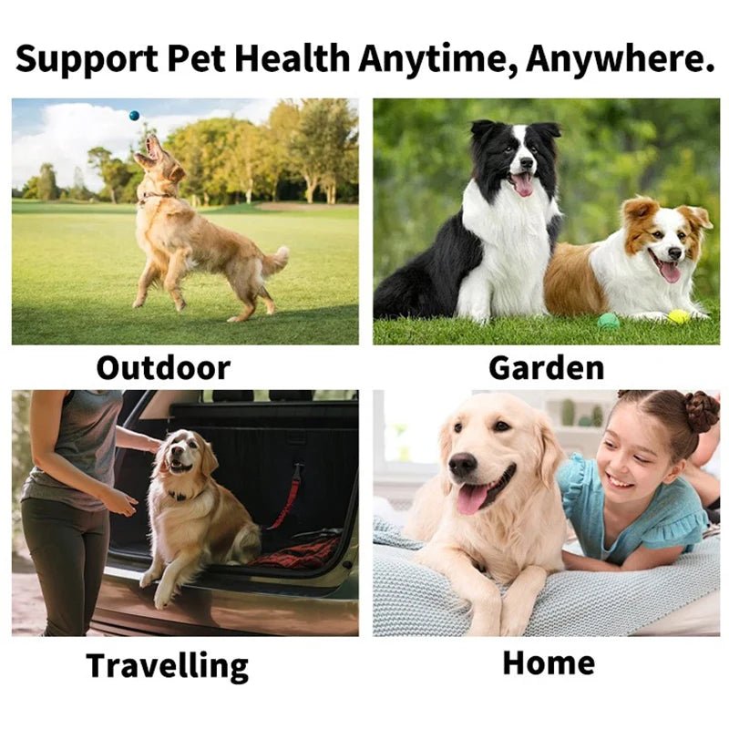 Pet cleaning products Disposable finger toothbrush Pet teeth cleaning finger covers wet wipes Dog and cat oral cleaning - Kenner House Emporium