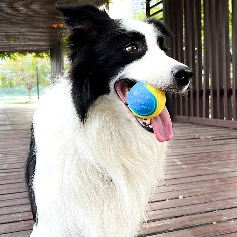 Dogs Interactive Toys Soft TPR Toys for Dog Pet Teeth Cleaning Bite Resistance Squeaky Dog Ball Toy - Kenner House Emporium